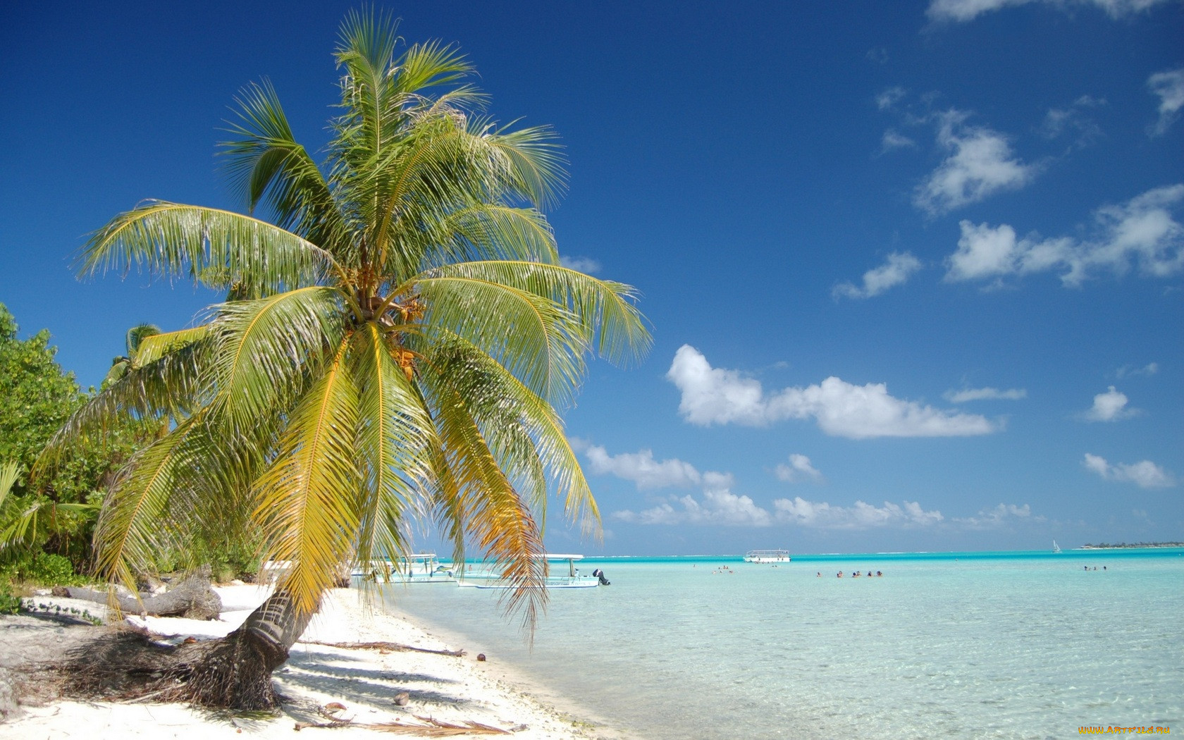 paradise, bora, , 